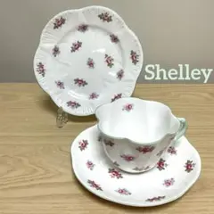 Item thumbnail for item b836ed51-4f9d-4565-b23f-7cab415c58b4