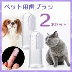 Item thumbnail for item 5227386f-54be-4a41-8d64-de51e8564085