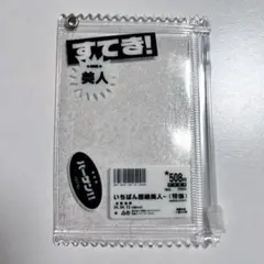 韓国作家　トレカケース　トレカホルダー　マートポーチ