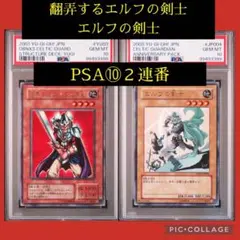 ARS10+ エルフの剣士 1998年 バンダイ版 カードダス PSA10以上 2025年最新】エルフの剣士 psa10の人気アイテム - メルカリ