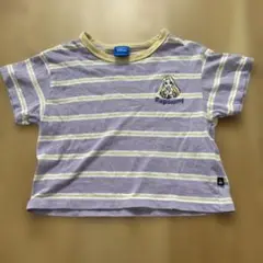 Disney Rapunzel ストライプ Tシャツ　ラプンツェル