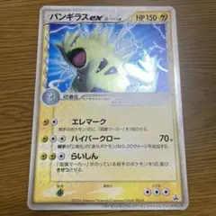 2025年最新】ポケモンジャングルツアーズの人気アイテム - メルカリ