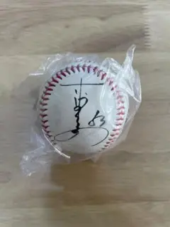 阪神タイガース 赤星憲広選手 引退記念サインボール 入手困難保管品 記念品 阪神タイガース 赤星憲広選手 引退記念サインボール 入手困難