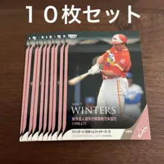 BBM 2024 fusion 日本ハム ウインタース 10枚セット