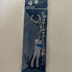 FIGHTERS 堀みずき　キーホルダー