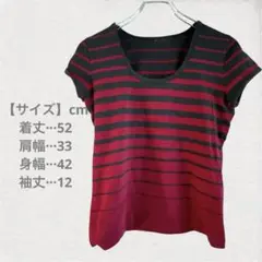 黒と赤のストライプ 半袖Tシャツ