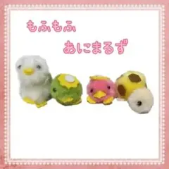 【早い者勝ち！】もふもふ　ひよこ＆カッパ＆カメ　アミーズメント商品