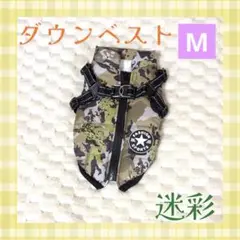 Item thumbnail for item d5ce594c-1f85-4d37-be21-f11acdfae274