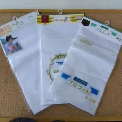 Item thumbnail for item 855ceed9-c8e2-403e-af99-0ade6085b590