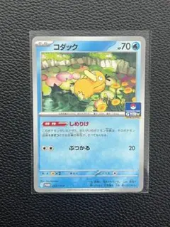 【未使用美品】コダック(PROMO 262/SV-P) しめりけ　HP70