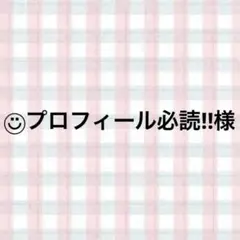 ◡̈⃝プロフィール必読‼︎様