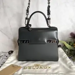 デルヴォー タンペート スモール リザード ハンドバック 2WAY デルボー ハンドバッグ タンペート スモール Delvaux 2way 安心