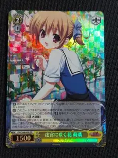 SR 迷宮に咲く花 蒔菜　ヴァイスシュヴァルツ グリザイアの果実
