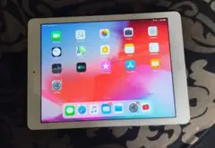 Apple iPad Air 本体