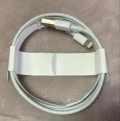 Apple AirPods 純正　USB-A-lightning ケーブル