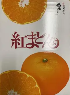 贈答品JA愛媛中央紅まどんな赤秀2L 12玉入