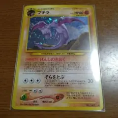 旧裏　プテラ　良品