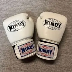 WINDY ボクシンググローブ BGVH 12oz ホワイト