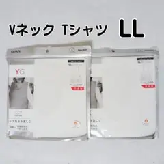 Item thumbnail for item 1d5622a9-ebcc-4c34-a36a-4e2c694b8ceb