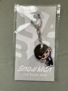 SnowMan 渡辺翔太 すのチル アクリルキーホルダー