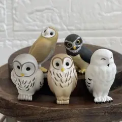 フクロウ 机の上のマスコット　フィギュア　5種