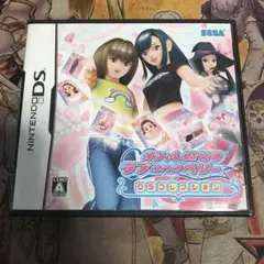 オシャレ魔女♡ラブandベリーDSコレクション　DS ソフト