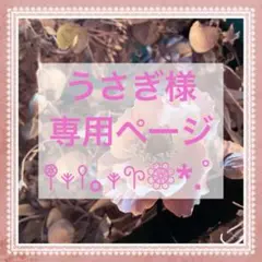 Item thumbnail for item 65457b2c-0f39-461f-b068-6f25033f7276