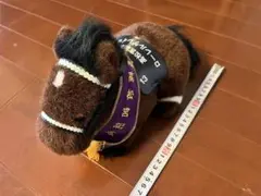 Item thumbnail for item 3bf28546-33f0-4474-bb40-69b11f9f6bec