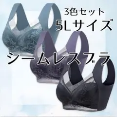 シームレスブラ5L 寒色 3色セット ノンワイヤー ナイトブラ バストケア