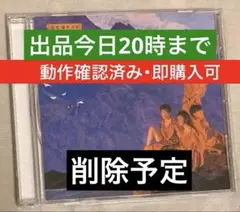 ★出品今日まで★　動作確認済み　即購入可　ZELDA　空色帽子の日