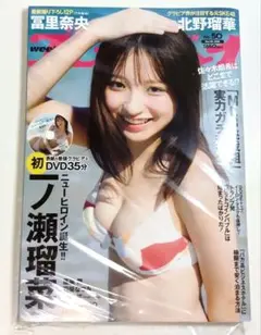 週刊プレイボーイ 2024年 51号 一ノ瀬瑠菜 DVD付き ほぼ新品 未読品
