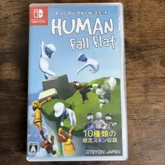Switch ヒューマンフォールフラット