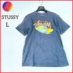 訳有★stussy ステューシー　半袖Tシャツ　プリント　L マッチョ　メンズ
