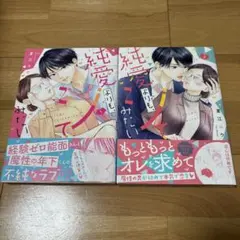 純愛よりも、シてみたい 2巻セット