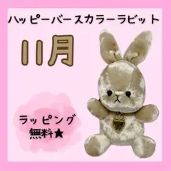 ハッピーバースカラーラビット　ハートクラウン  11月  【無料ラッピングあり】