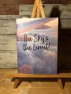 The Sky's the Limit! HELP me TRAVEL