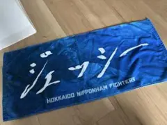 北海道日本ハムファイターズ 水谷瞬　ジェッシー　　応援タオル