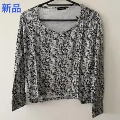 Item thumbnail for item 5254a1b3-66ce-4714-904b-8b3f7d0ec184