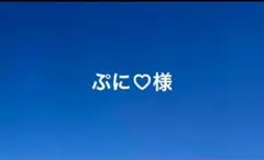 専用
