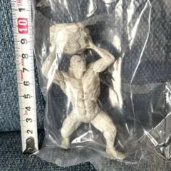 未開封品　UMA最強王図鑑　ビッグフット　キープレート