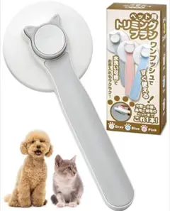 Item thumbnail for item 8c783217-7884-4e11-b530-dc56c9f35380