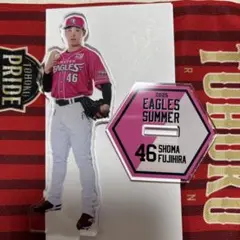 楽天イーグルス46 藤平SUMMERサマーユニフォームアクリルスタンド　アクスタ