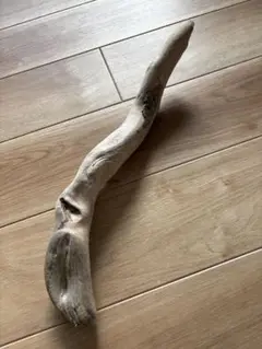 Item thumbnail for item 7d09750f-3ec4-4dd4-96c2-92a940236fa7