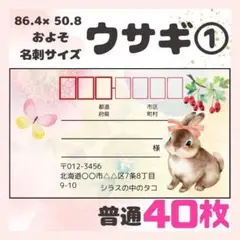 【ウサギ①】宛名シール　差出人シール　普通サイズ　40枚　　動物　ウサギ