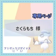 さくらもち様 リクエスト 2点 まとめ商品