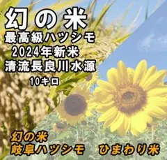 令和6年12月19日収穫新米養老山脈産　希少最高級ハツシモ白米11キロ発送 受注精米】令和6年度産 新米 山形県産 最上級 1等米・特別栽培米
