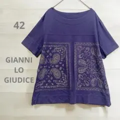 【ジャンニロジュディチェ】刺繍　ペイズリー柄　半袖Tシャツ　大きいサイズ