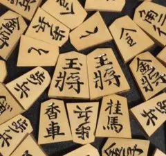 2025年最新】将棋 駒 光花の人気アイテム - メルカリ