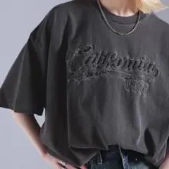 JaVa グレー California 1953 半袖Tシャツ オーバーサイズ