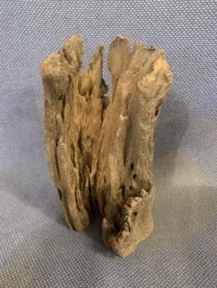 Item thumbnail for item 2beef893-0d88-4903-b8d1-214e34cbf0d7